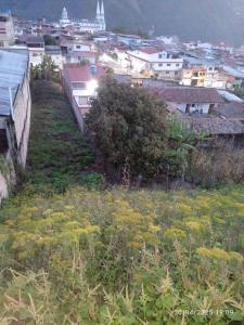 Ppal Barrio Santa Rosa, La Grita, Táchira 4001, Venezuela