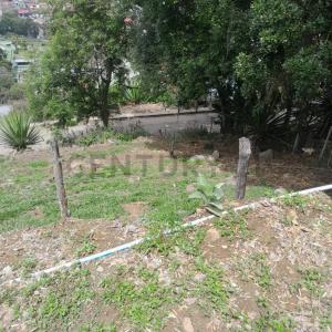 Ppal La Meseta, La Grita, Táchira 4001, Venezuela
