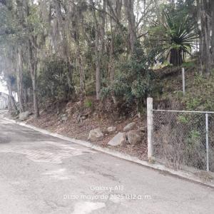 Ppal La Meseta, La Grita, Táchira 4001, Venezuela