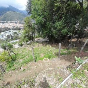 Ppal La Meseta, La Grita, Táchira 4001, Venezuela