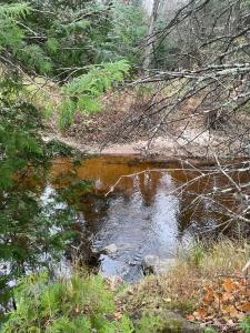 408 green garden, Marquette, Мичиган 49855, Соединенные Штаты