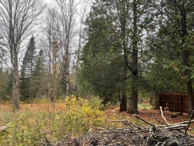 408 green garden, Marquette, Мичиган 49855, Соединенные Штаты