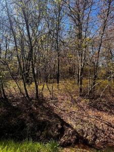 Lot 5915 Wild Laurel Drive, Long Pond, Pennsylvania 18334