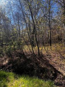 Lot 5915 Wild Laurel Drive, Long Pond, Pennsylvania 18334
