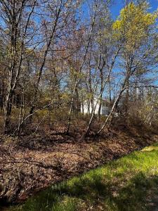 Lot 5915 Wild Laurel Drive, Long Pond, Pennsylvania 18334, USA