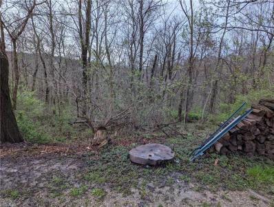 Shade St, Marietta, Ohio 45750