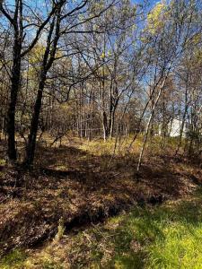 Lot 5916 Wild Laurel Drive, Long Pond, Pennsylvania 18334