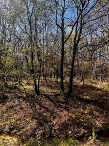 Lot 5916 Wild Laurel Drive, Long Pond, Pennsylvania 18334