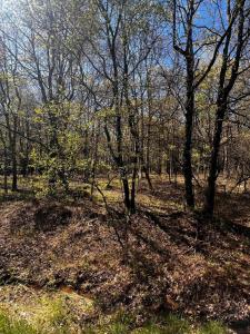 Lot 5916 Wild Laurel Drive, Long Pond, Pennsylvania 18334