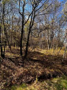 Lot 5916 Wild Laurel Drive, Long Pond, Pennsylvania 18334, USA