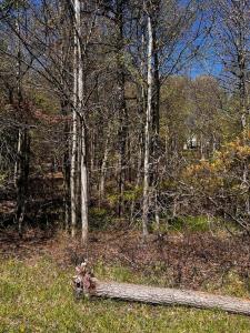 Lot 5882 Tumbleweed Drive, Long Pond, Pensilvania 18334, Estados Unidos