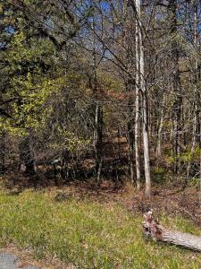 Lot 5882 Tumbleweed Drive, Long Pond, Pensilvania 18334, Estados Unidos
