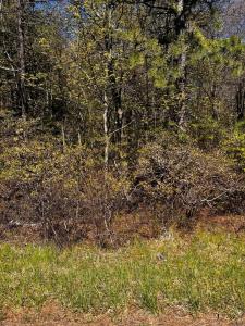 Lot 5882 Tumbleweed Drive, Long Pond, Pensilvania 18334, Estados Unidos