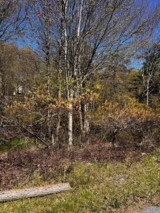 Lot 5882 Tumbleweed Drive, Long Pond, Pensilvania 18334, Estados Unidos