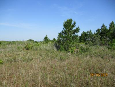 15312 NW  274TH STREET, OKEECHOBEE, Florida 34972, USA