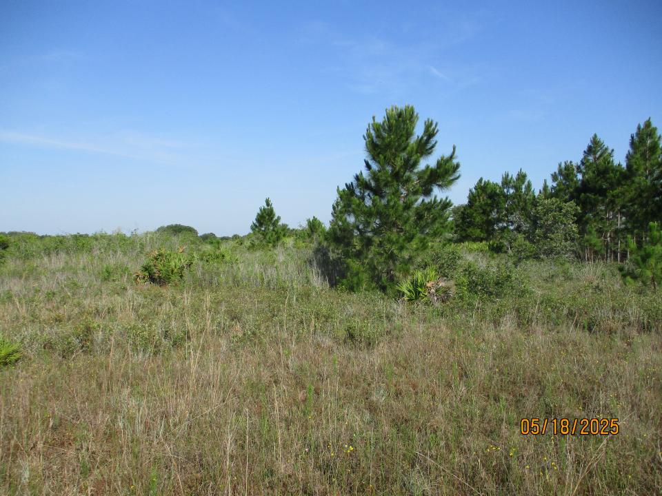 15312 NW 274TH STREET, OKEECHOBEE, Florida 34972, Estados Unidos