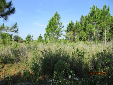 15312 NW 274TH STREET, OKEECHOBEE, Florida 34972, Estados Unidos