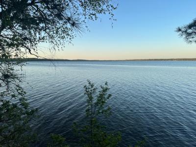 50532 County 29, Bemidji, Minnesota 56601, Estados Unidos