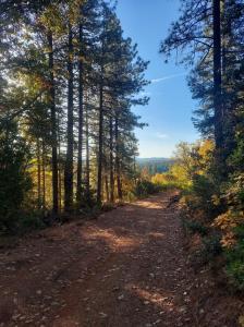 20100 Grizzly Creek Road, Nevada City, California 95959