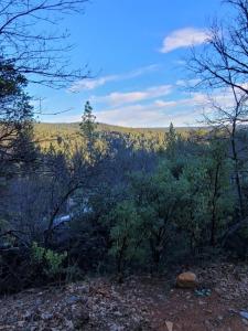 20100 Grizzly Creek Road, Nevada City, California 95959, USA