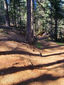 20100 Grizzly Creek Road, Nevada City, California 95959