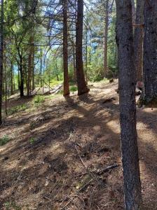 20100 Grizzly Creek Road, Nevada City, California 95959