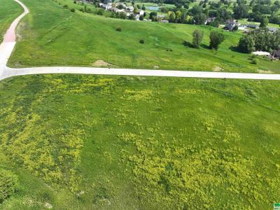 Lot 9 Titan Road, Hinton, Iowa 51024, États-Unis