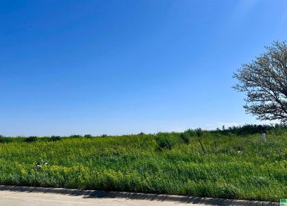 Lot 11 Tucker Hill Drive, Hinton, Iowa 51024, États-Unis