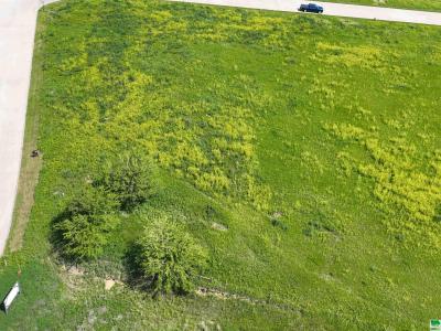 Lot 11 Tucker Hill Drive, Hinton, Iowa 51024, Amerika Birleşik Devletleri