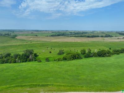 Lot 2 Tucker Hill Drive, Hinton, Iowa 51024