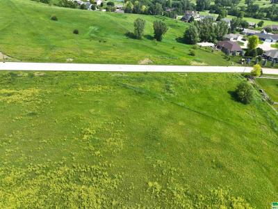 Lot 8 Titan Road, Hinton, Iowa 51024, Amerika Birleşik Devletleri