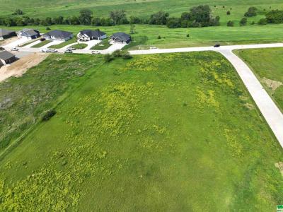 Lot 8 Titan Road, Hinton, Iowa 51024, Amerika Birleşik Devletleri