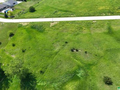 Lot 5 Titan Road, Hinton, Iowa 51024, Amerika Birleşik Devletleri