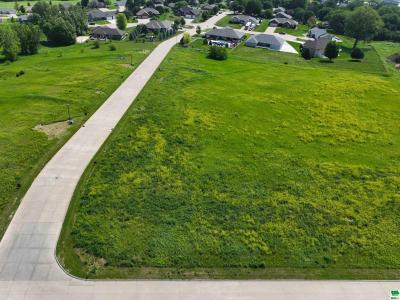 Lot 10 Tucker Hill Drive, Hinton, Iowa 51024, Amerika Birleşik Devletleri