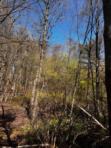 Lot 5881 Tumbleweed Drive, Long Pond, 펜실베니아 18334, 미국
