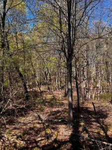 Lot 5881 Tumbleweed Drive, Long Pond, 펜실베니아 18334, 미국