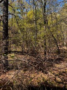 Lot 5881 Tumbleweed Drive, Long Pond, 펜실베니아 18334, 미국