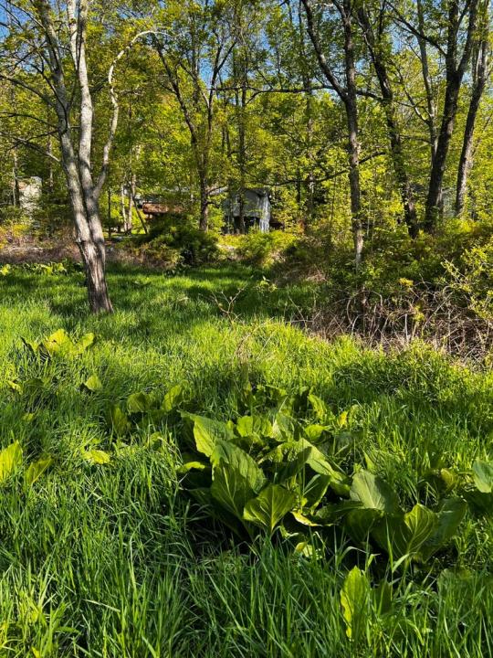 Lot 412-413 Marilou Lane, Bartonsville, Pennsylvania 18321