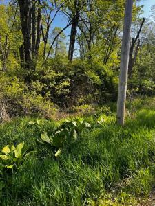 Lot 412-413 Marilou Lane, Bartonsville, Pennsylvania 18321