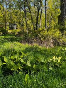 Lot 412-413 Marilou Lane, Bartonsville, Pennsylvania 18321, USA
