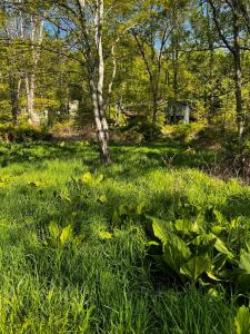 Lot 412-413 Marilou Lane, Bartonsville, Pennsylvania 18321