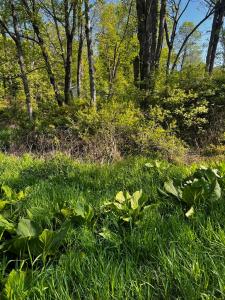 Lot 412-413 Marilou Lane, Bartonsville, Pennsylvania 18321, USA