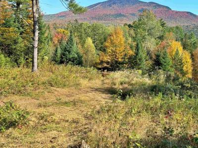 00 East Darling Hill Road Lot #2 & Lot #3, Burke, Vermont 05832, Estados Unidos
