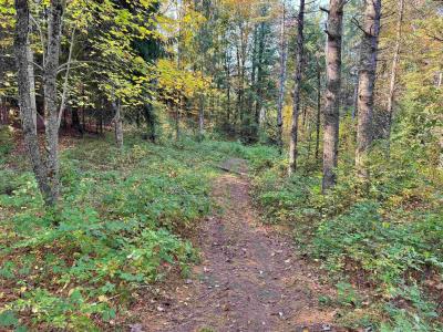 00 East Darling Hill Road Lot #2 & Lot #3, Burke, Vermont 05832, Estados Unidos