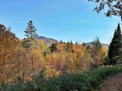00 East Darling Hill Road Lot #2 & Lot #3, Burke, Vermont 05832, Estados Unidos