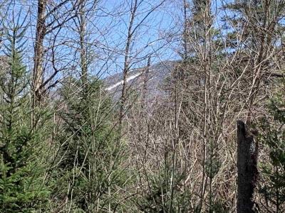 00 East Darling Hill Road Lot #2, Burke, Vermont 05832, Estados Unidos
