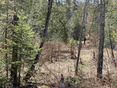 00 East Darling Hill Road Lot #2, Burke, Vermont 05832, Estados Unidos