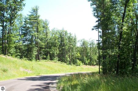 6354 Cedarmere, Traverse City, Michigan 49686, Amerika Birleşik Devletleri
