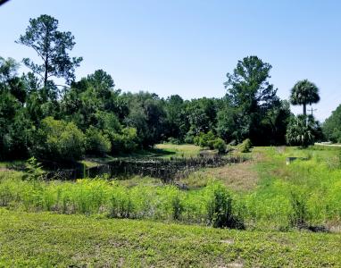 221 Live Oak Boulevard, Crescent City, Флорида 32112, Соединенные Штаты