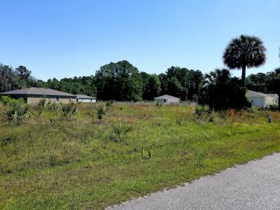 221 Live Oak Boulevard, Crescent City, Флорида 32112, Соединенные Штаты
